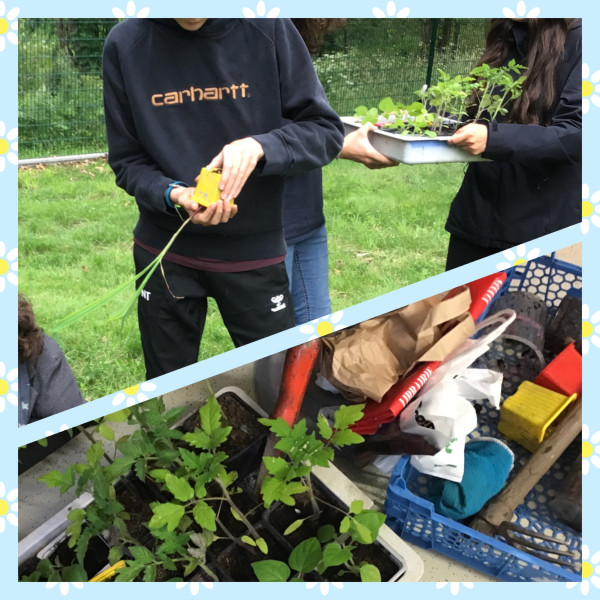 Les co-dlgus, apprentis jardiniers !